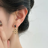 Tiger Eye Black Crystal Earrings